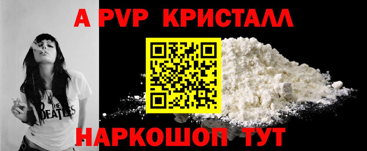 Альфа ПВП крисы CK Моздок